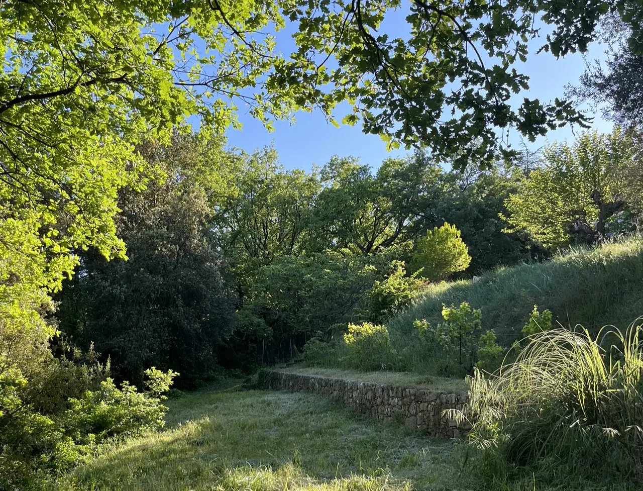 Le parc naturel du domaine au petit matin