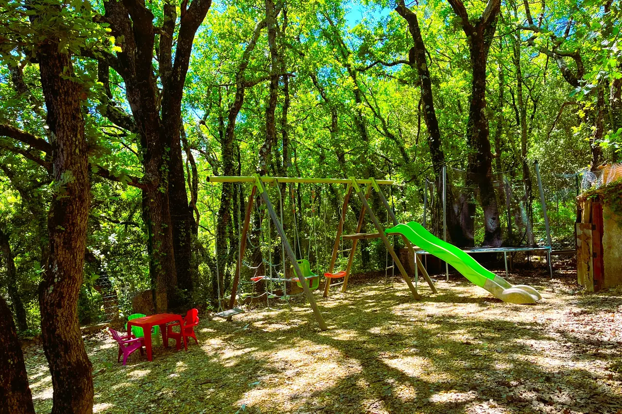 Jeux d'enfants en forêt
